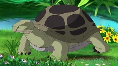 灰色大象乌龟吃草